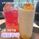 여유 | 강릉 카페 에펠루아 본점 넓은 주차와 여유로운 공간 후기