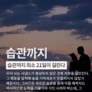 한국체대 인성금강 태권도 이미지