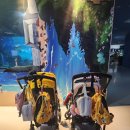 금능리장 이미지