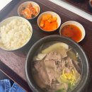 토이랜드 인형샵 | (2024일본여행)도쿄(인천공항 제 2여객터미널/스카이라이너/휴먼메이드하라주쿠,시부야파르코/카츠동...