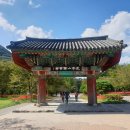 9월15일 화요일 고창 선운산 꽃무릇 산행안내 이미지