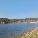 송진포항 이미지