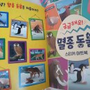 어룡슈퍼 이미지