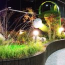 엔터(enter)오락실 이미지