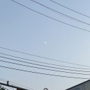 [일상 | 주간일기] 8월 첫째 주 _ 사랑이란 이름의 용기가 필요해