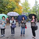 오가원농장 이미지