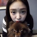 영재채널 이미지