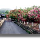 고려동유적지 이미지