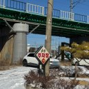 금송삼계탕 | 토종닭누룽지백숙 증평맛집 금송가든