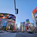 지산고 주변 교차로 횡단보도 | 도쿄 시부야 스크램블 교차로 : 히카리에 공짜 전망대