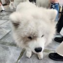 겨울이 머무는 집 이미지