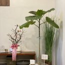 부천-상동-부천-69 이미지