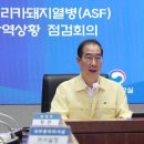 양구농축산물 이미지