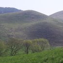 서산농장 이미지