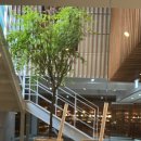 동호활어 이미지