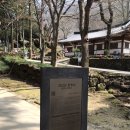 쌍계사 | 하동여행 지리산 쌍계사 방문 후기