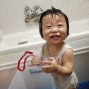 찬우목장 이미지