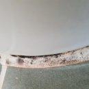 배곧헤리움어반크로스1차(배곧헤리움1차) 이미지