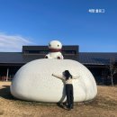 안흥파크 | 강원도 횡성 아이와 가볼만한 겨울체험 안흥찐빵모락모락마을