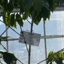 김국환농장 이미지