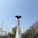 보라매동-33 이미지