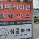 심쿵하개 애견미용 이미지