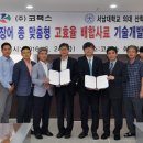 (주)코팩스 이미지