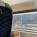 BUSAN 부산여행 1일차 | 부경불백, 필더빌커피바, 조은상회