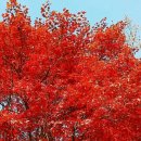 인제한의원 이미지