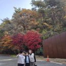 오도산 자연휴양림 | 오도산자연휴양림,가을캠핑