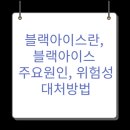 아이스533 이미지