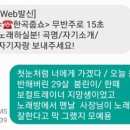 붐노래타운1 이미지