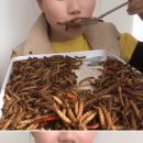 맛있게 벌레를 먹는 중국 여성 이미지
