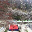 축제광장 이미지