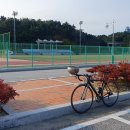 죽변운동장 티스토리
