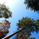 강릉청솔공원 이미지