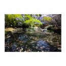 남간정사 이미지