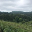 전라도 여행/보성, 순천 여행(+담양, 광주, 여수 여행)