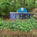 감골공원안길 이미지