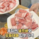 사직동고기집 입맛 저격한 띵동제주대패랑옛날갈비