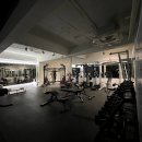 타이거 파라다이스 이미지