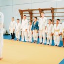 리틀타이거 태권도 이미지