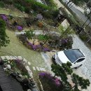 나래산방 이미지