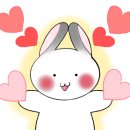 시계박사 엔젤수족관 이미지