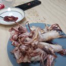 삼척항 해오름 민박 이미지