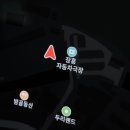 [감자동반] 낭만도 있고 강아지도 있(을 수 있)는 장흥 자동차 극장
