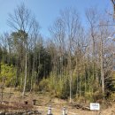 유로메디케어 이미지