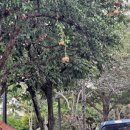 연제구 항도어린이집 이미지