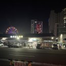 울산시장 | 울산 농수산물 시장 4번 통영횟집 전어 후기