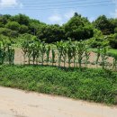 키다리부동산공인중개사무소 이미지